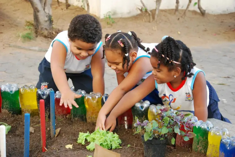 Horta escolar