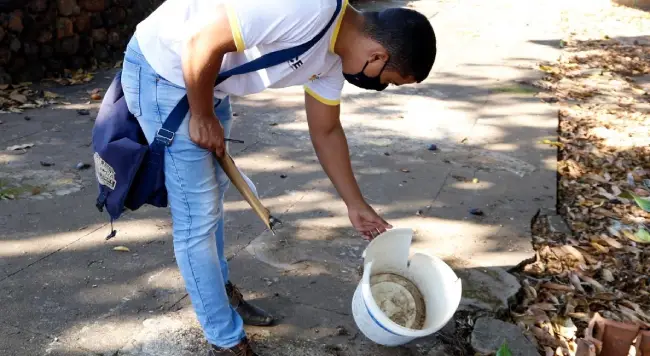 Combate à dengue Combate à dengue
