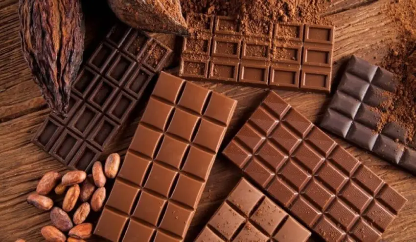 Comer chocolate com moderação pode ser um grande aliado Comer chocolate com moderação pode ser um grande aliado