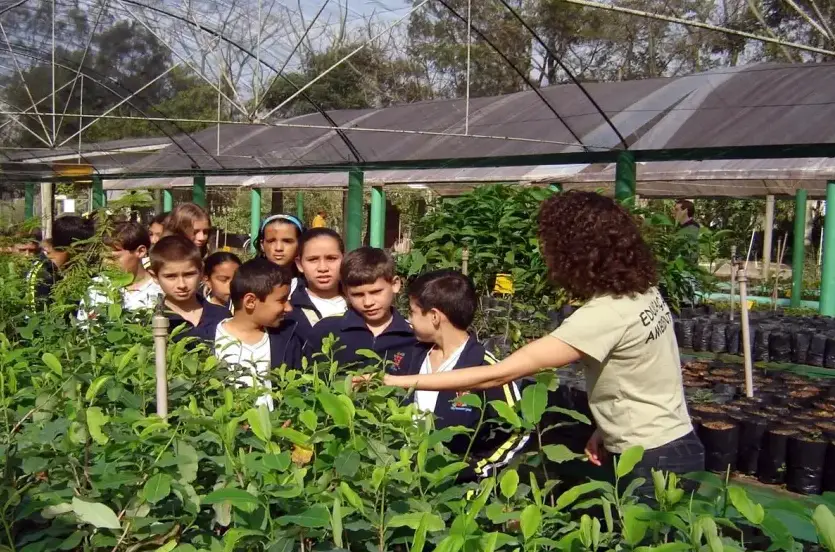 Escola do Meio Ambiente conquista prêmio nacional histórico Escola do Meio Ambiente conquista prêmio nacional histórico