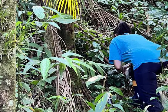Pesquisas em SC criam bioinsumos e antibióticos com apoio da Fapesc Pesquisas em SC criam bioinsumos e antibióticos com apoio da Fapesc