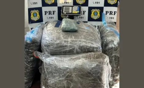 Perseguição na BR-101 termina com 40 kg de skunk apreendidos em Palhoça Perseguição na BR-101 termina com 40 kg de skunk apreendidos em Palhoça