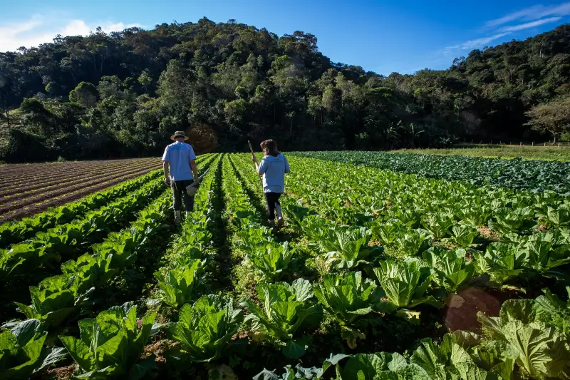 Evento gratuito Floripa Rural aproxima o campo da cidade com exposições, trilhas e educação agropecuária no Itacorubi.
