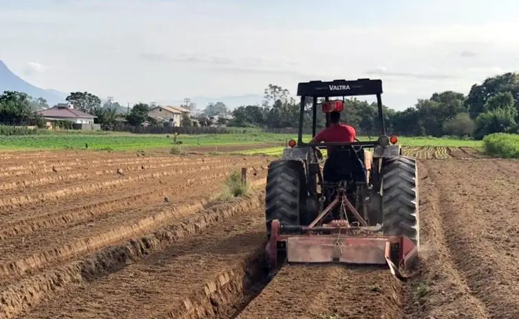 Plano Safra abre inscrições para produtores familiares em Palhoça Plano Safra abre inscrições para produtores familiares em Palhoça