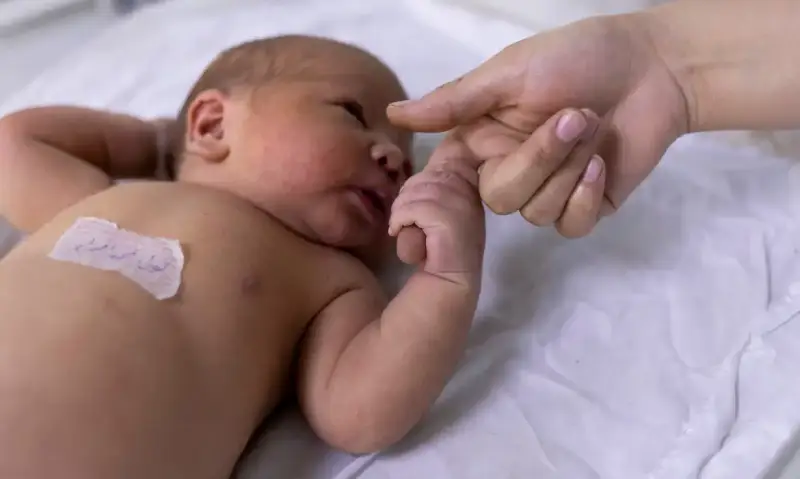 Mulheres adiam maternidade e Brasil tem menos nascimentos em 50 anos Mulheres adiam maternidade e Brasil tem menos nascimentos em 50 anos