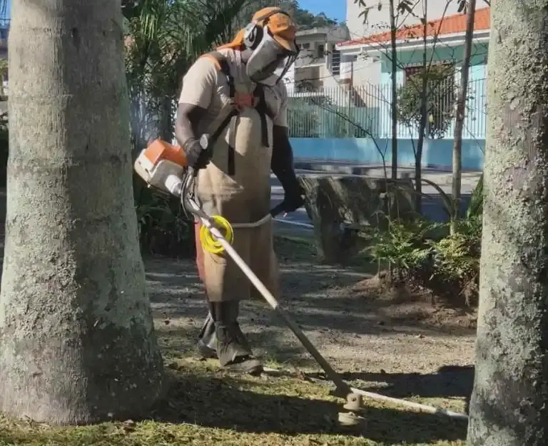 Mutirão reforça manutenção urbana na Região Oeste de São José Mutirão reforça manutenção urbana na Região Oeste de São José