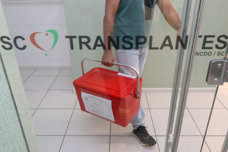 Doação de órgãos cresce em SC com destaque para Hospital Celso Ramos Doação de órgãos cresce em SC com destaque para Hospital Celso Ramos