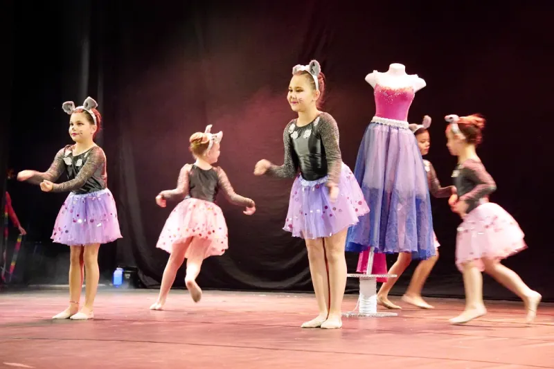 Festival Escolar Dança Catarina em São José celebra a dança nas escolas Festival Escolar Dança Catarina em São José celebra a dança nas escolas