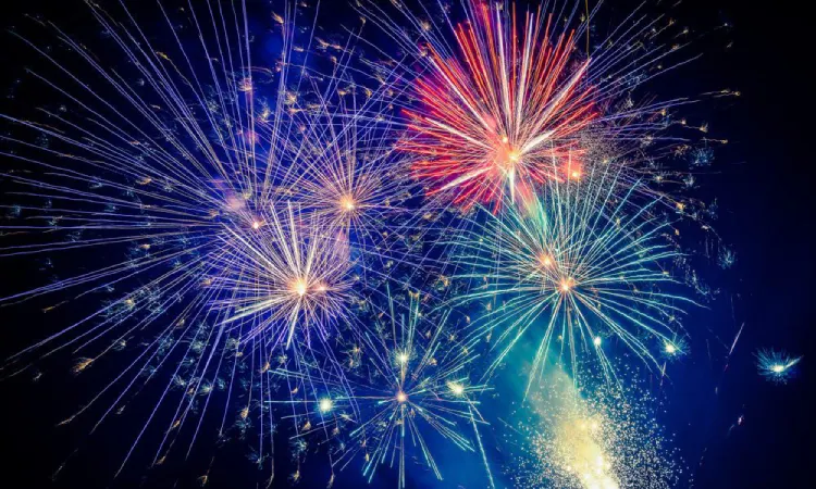 Proibição de fogos com estampido em SC busca proteger animais e pessoas Proibição de fogos com estampido em SC busca proteger animais e pessoas