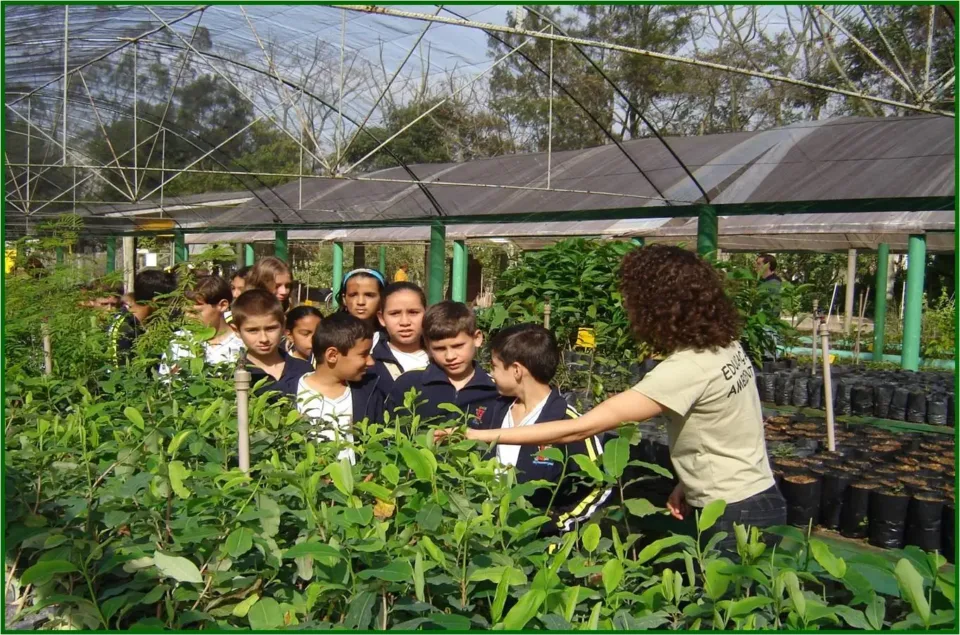 Mostra Lutz recebe destaque de São José com práticas sustentáveis Mostra Lutz recebe destaque de São José com práticas sustentáveis