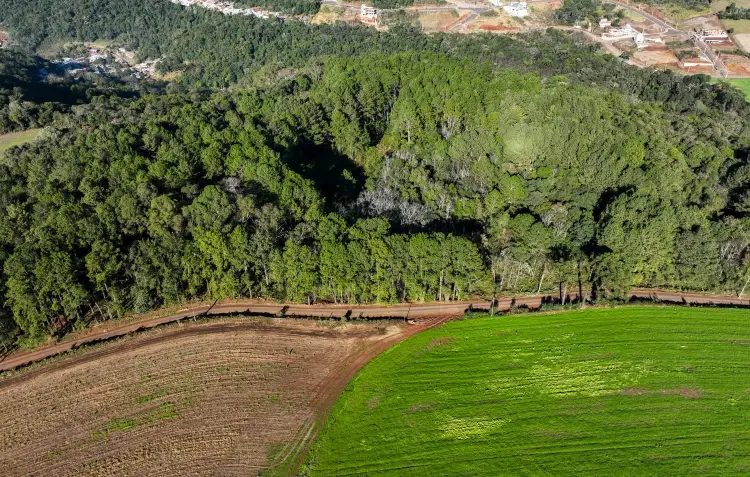 Investimentos rurais avançam com adesões ao Estrada Boa Rural Investimentos rurais avançam com adesões ao Estrada Boa Rural