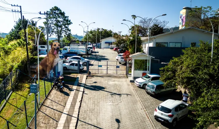 Prefeito Topázio Neto anuncia homenagem ao cão Orelha com primeiro Hospital Veterinário Municipal. Atendimento gratuito e plantão 24 horas em Florianópolis.