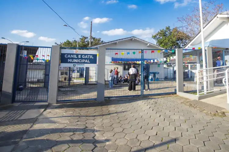 A adoção de pets no próximo sábado será incentivada em Florianópolis durante evento da Dibea com cadastro de adotantes e interação com cães e gatos resgatados. A adoção de pets no próximo sábado será incentivada em Florianópolis durante evento da Dibea com cadastro de adotantes e interação com cães e gatos resgatados.