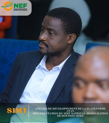 Atelier-de-developpement-de-la-plateforme-.STAT-Implementation-du-SIMT-18.jpg
