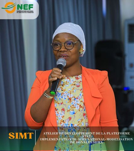 Atelier-de-developpement-de-la-plateforme-.STAT-Implementation-du-SIMT-19.jpg