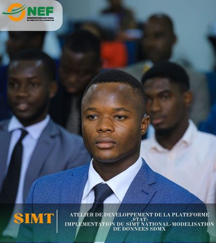 Atelier-de-developpement-de-la-plateforme-.STAT-Implementation-du-SIMT-20.jpg