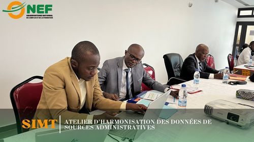 Atelier-dharmonisation-des-donnees-de-Sources-Administratives-6.jpg