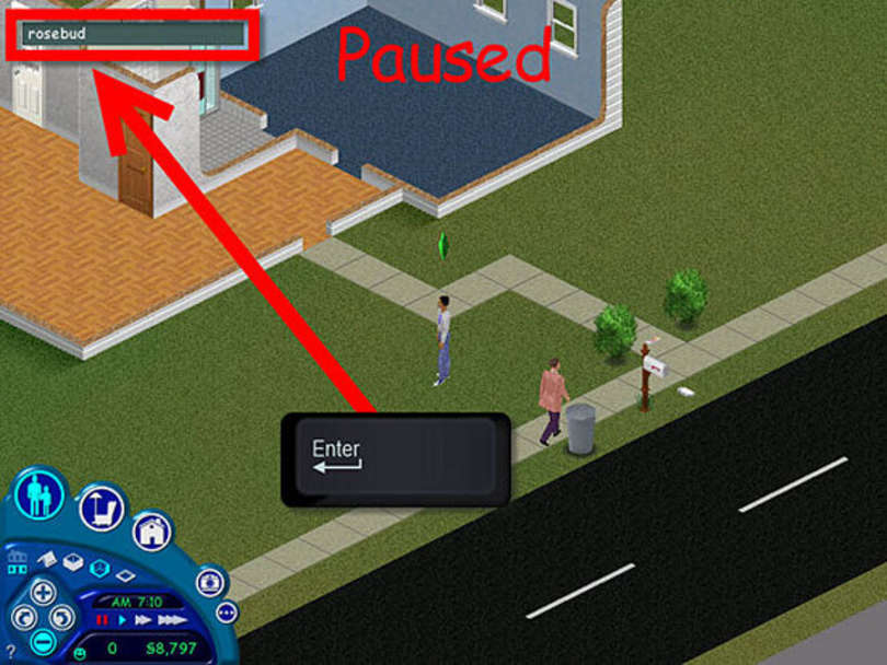 SIMS rosebud cheat