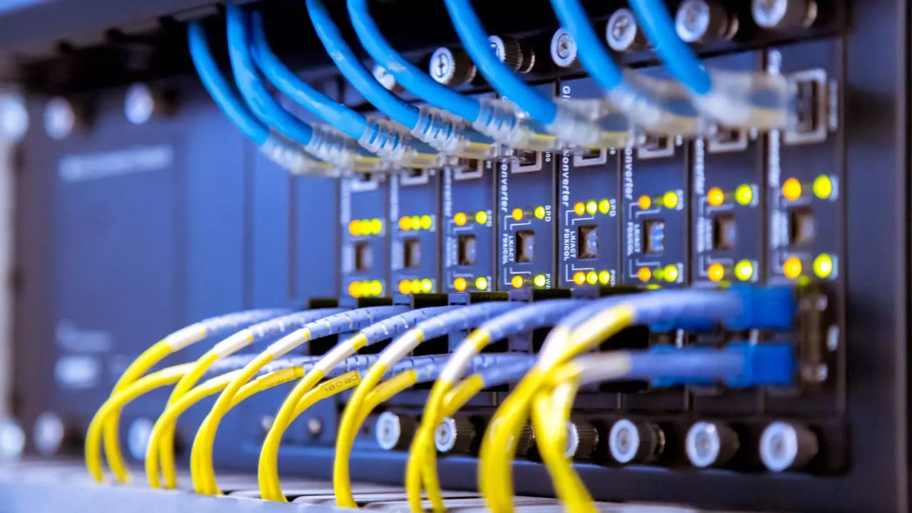 Nahaufnahme eines Netzwerk-Switches mit zahlreichen angeschlossenen blauen und gelben Ethernet-Kabeln sowie leuchtenden Status-LEDs.