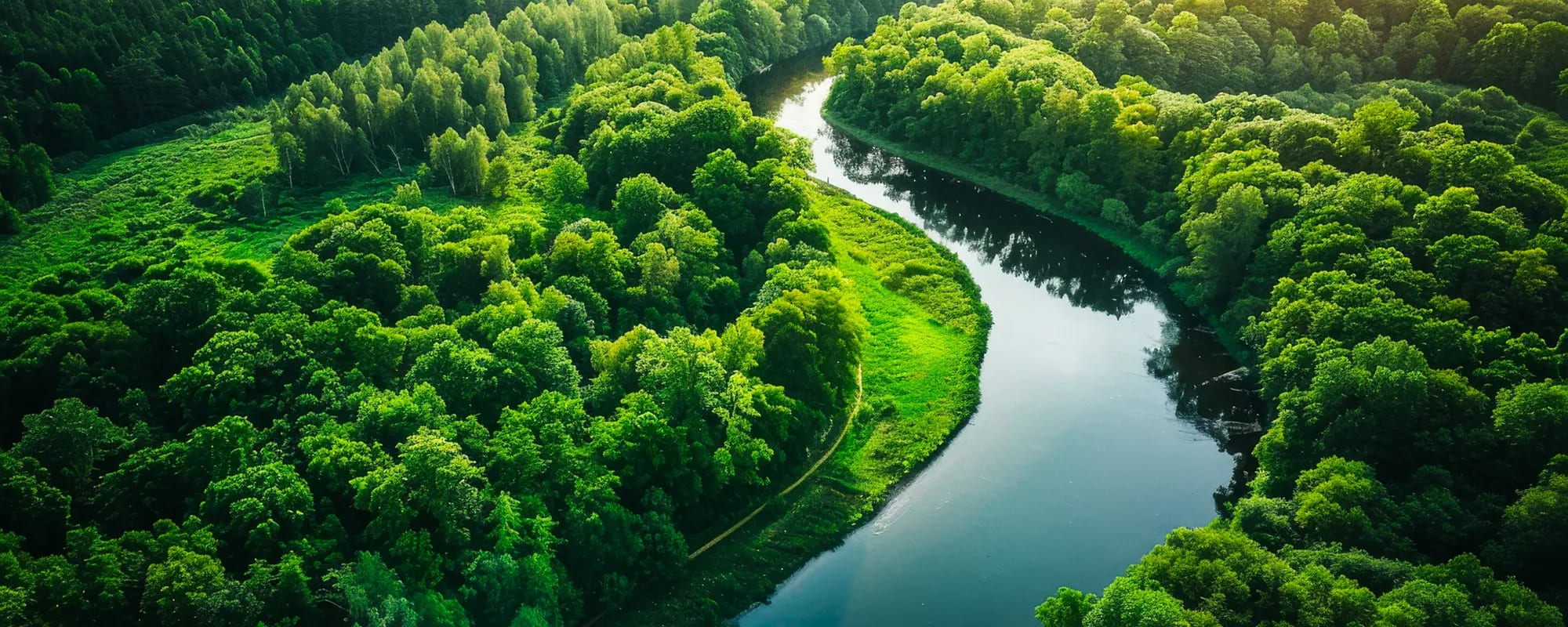 Fluss in grüner Waldlanschaft