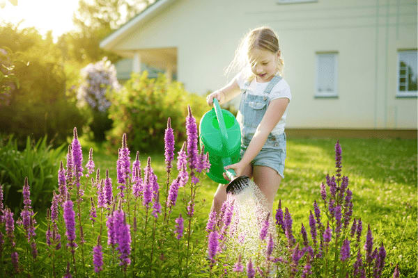 Mädchen bewässert den Garten im Sommer.