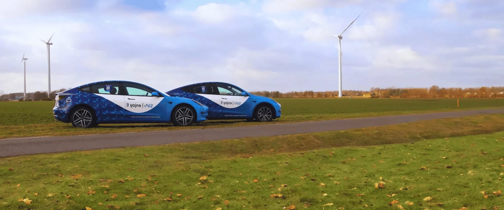 Teslas für das Carsharing derSVO-Gruppe.