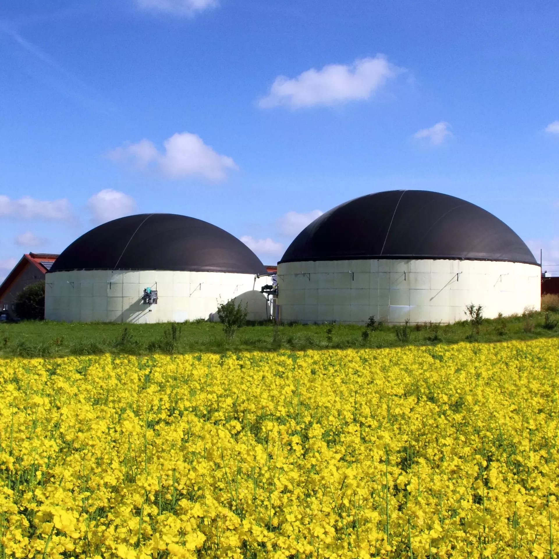 Anlagen für Biogas, aus dem Biomethan erzeugt wird