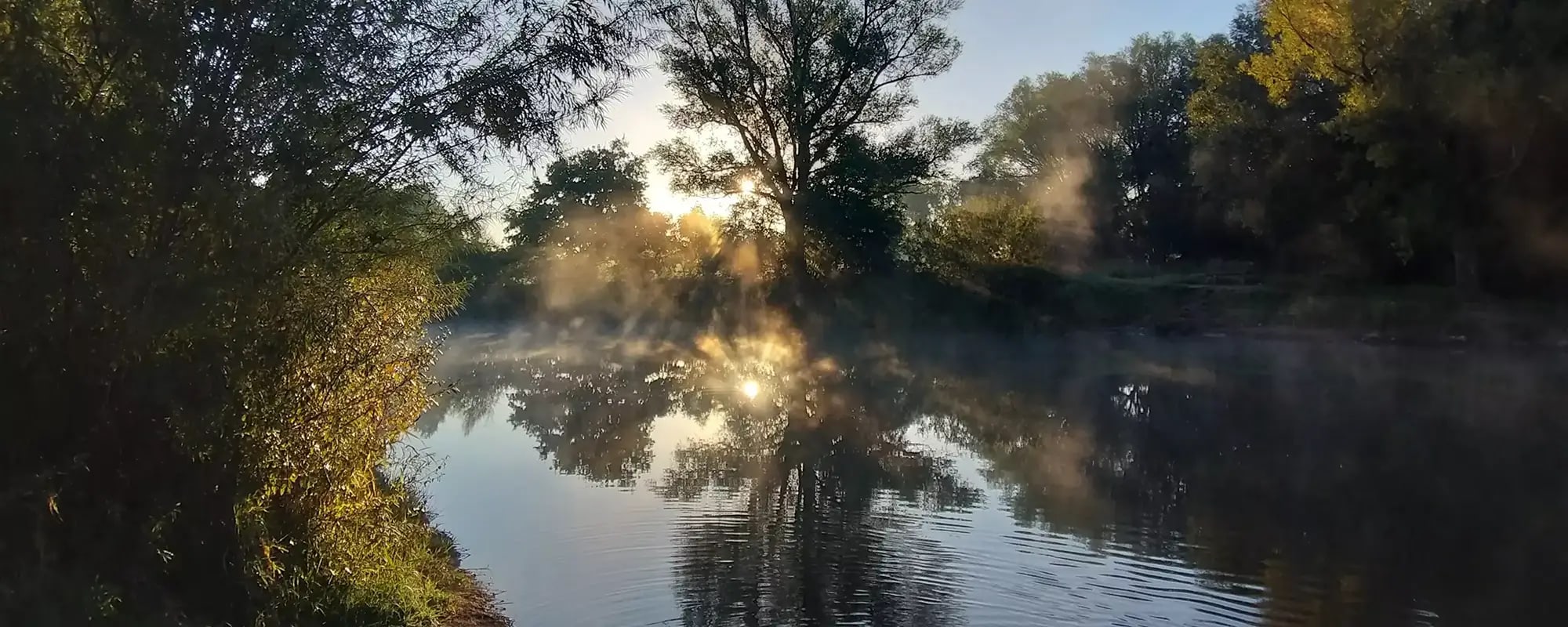 See mit Bäumen am Ufer und Nebel