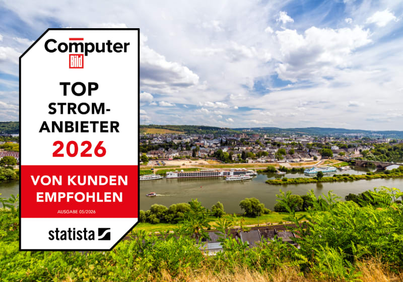 Ein Panorama von der Stadt Trier.