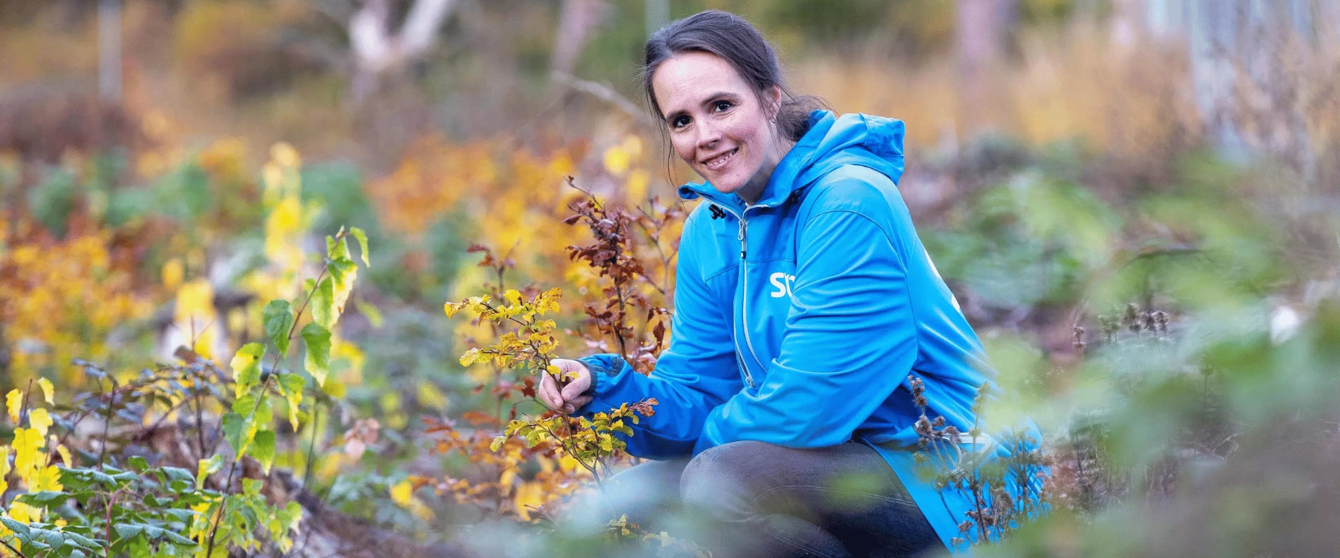 Eine Frau in einer blauen Jacke mit der Aufschrift „SV“ hockt in einem herbstlich gefärbten Waldgebiet. Sie lächelt freundlich und betrachtet junge Setzlinge oder Sträucher vor sich. Die Umgebung ist bunt mit gelben, grünen und braunen Blättern.