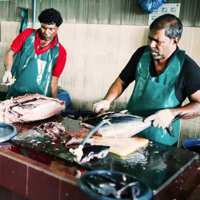 Fish Market