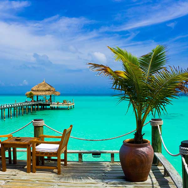 Explore our selection of affordable Madagascar packages for unforgettable experiences. Lounge on pristine beaches under the shade of palm trees, sip a refreshing cocktail, and let the island’s laid-back atmosphere melt your worries away.