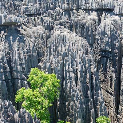 Tsingy de Bemaraha
