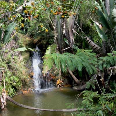 Andasibe-Mantadia National Park