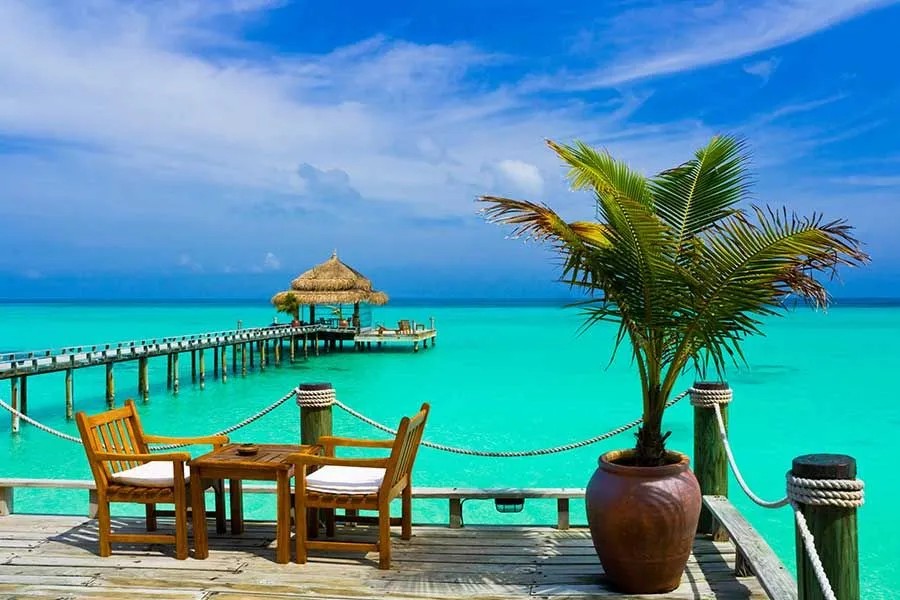 Wooden deck with a thatched pavilion over turquoise water, palm plant in the foreground