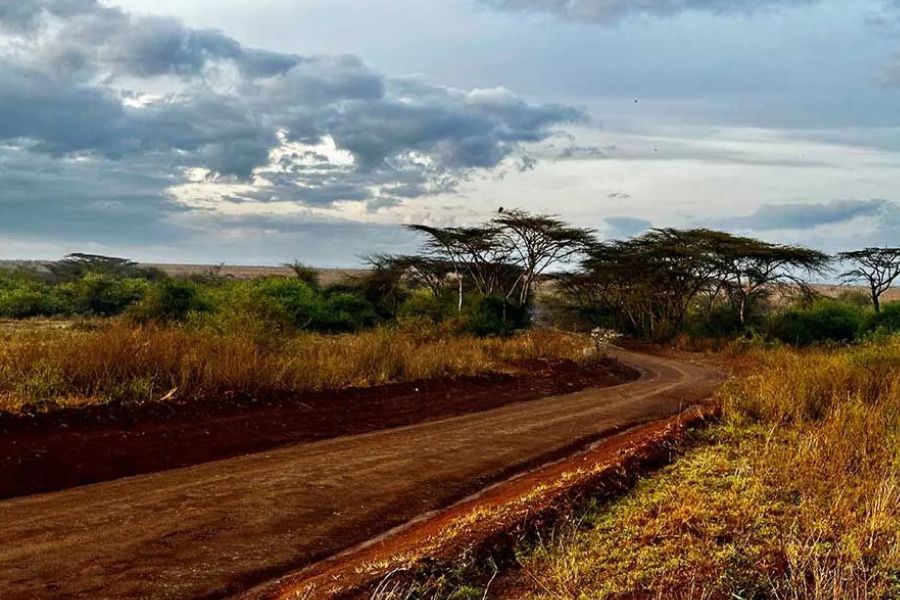 Red dirt road winding through Samburu's acacia savanna under a cloudy sky