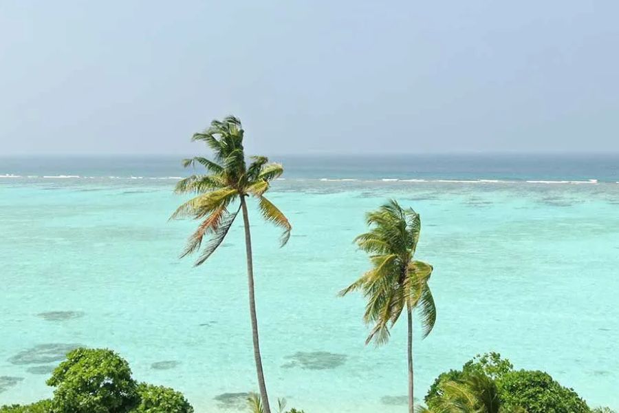 Palm trees against a turquoise lagoon with a distant reef line in the Maldives