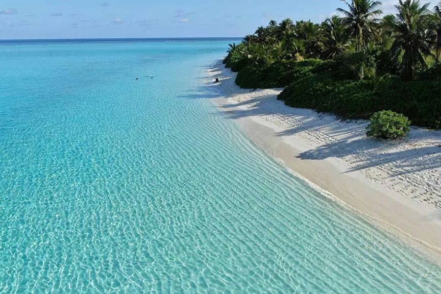 Shallow turquoise water along a palm-lined white sand beach in the Maldives