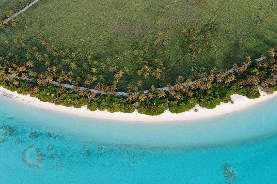 Aerial view of a curved island shoreline with palm trees and turquoise water in the Maldives