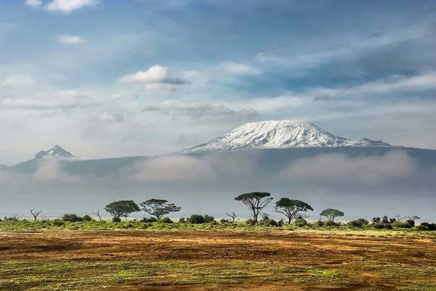 Mount Kilimanjaro's snow-capped peak rising above acacia trees and clouds in Kenya