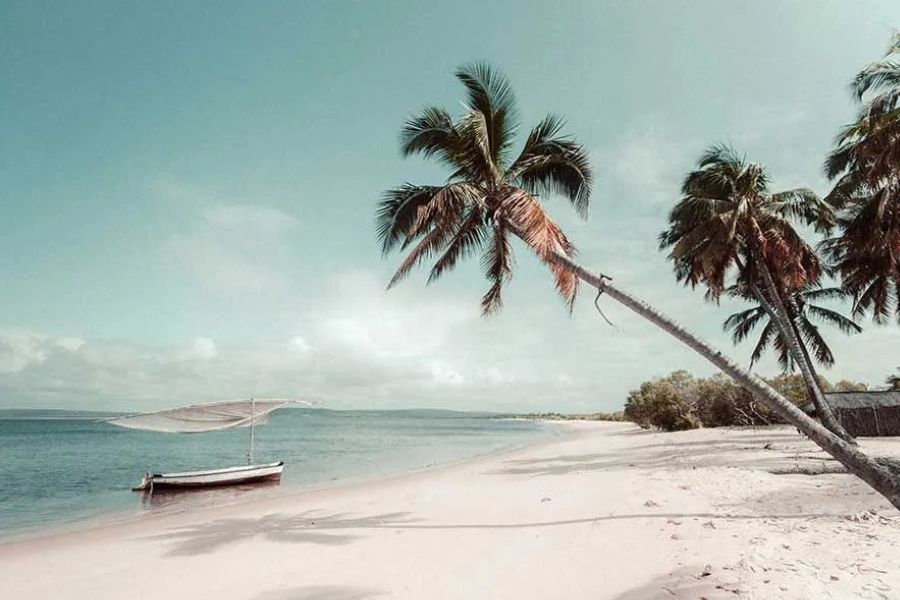 Palm tree leaning over a white sand beach with a small boat anchored offshore
