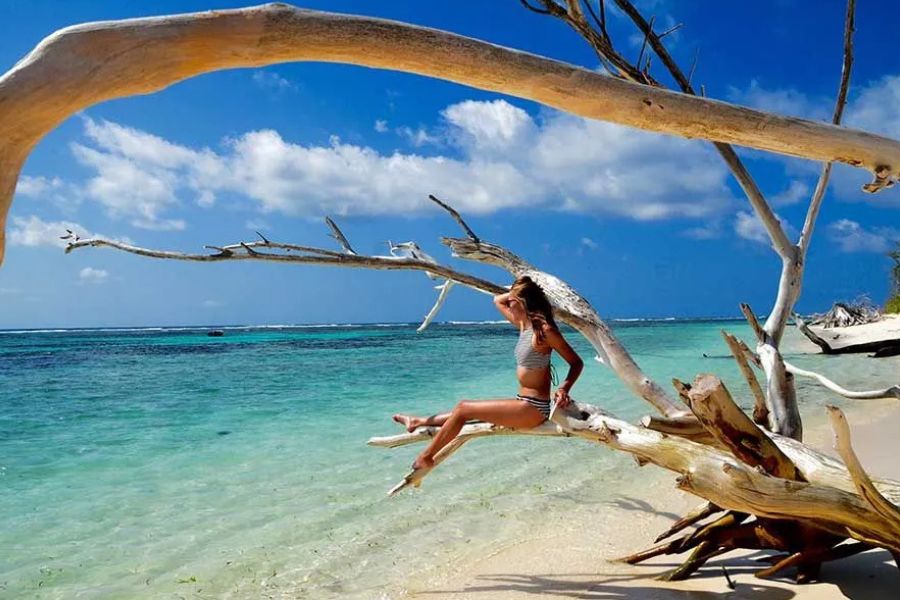 Woman relaxing on driftwood beside a pristine turquoise beach in Seychelles