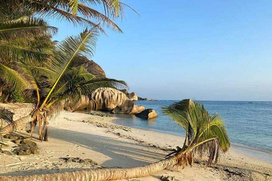 Peaceful Seychelles beach with palm trees, granite rocks and calm turquoise water