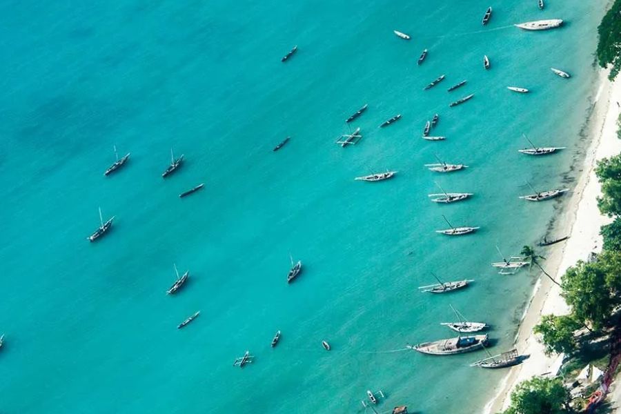 Aerial view of traditional boats along Zanzibar’s turquoise coastline.