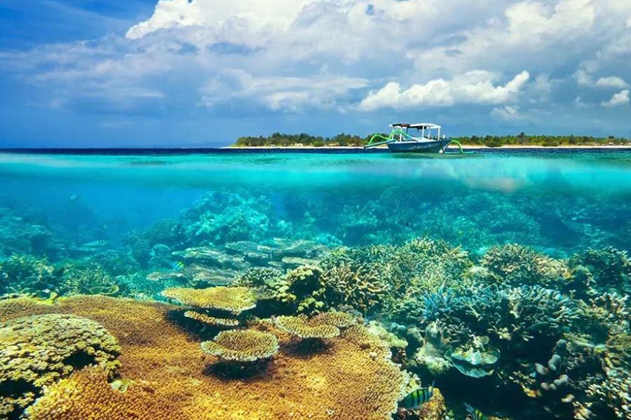 Colourful coral reef and clear tropical waters near Bali, Indonesia.