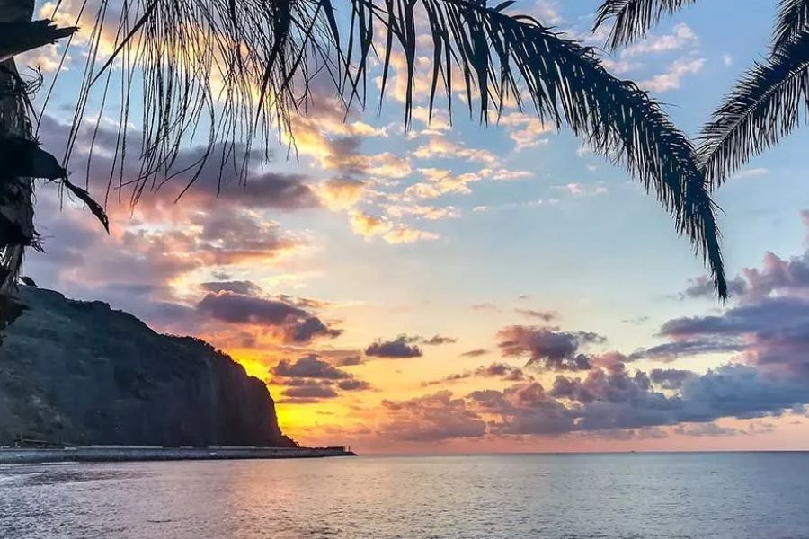 Tropical sunset framed by palm trees on the coast of Réunion Island