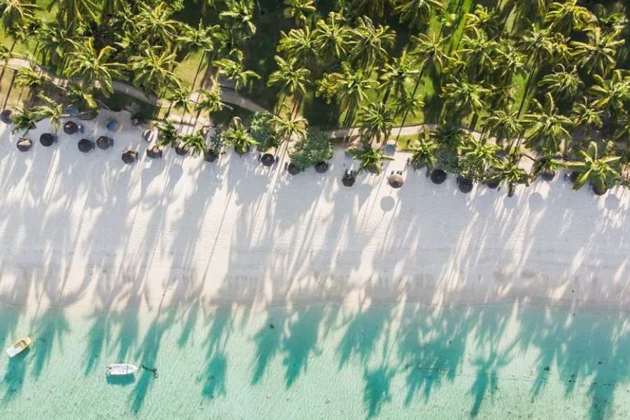 Palm-lined white-sand beach with clear turquoise water in Mauritius.