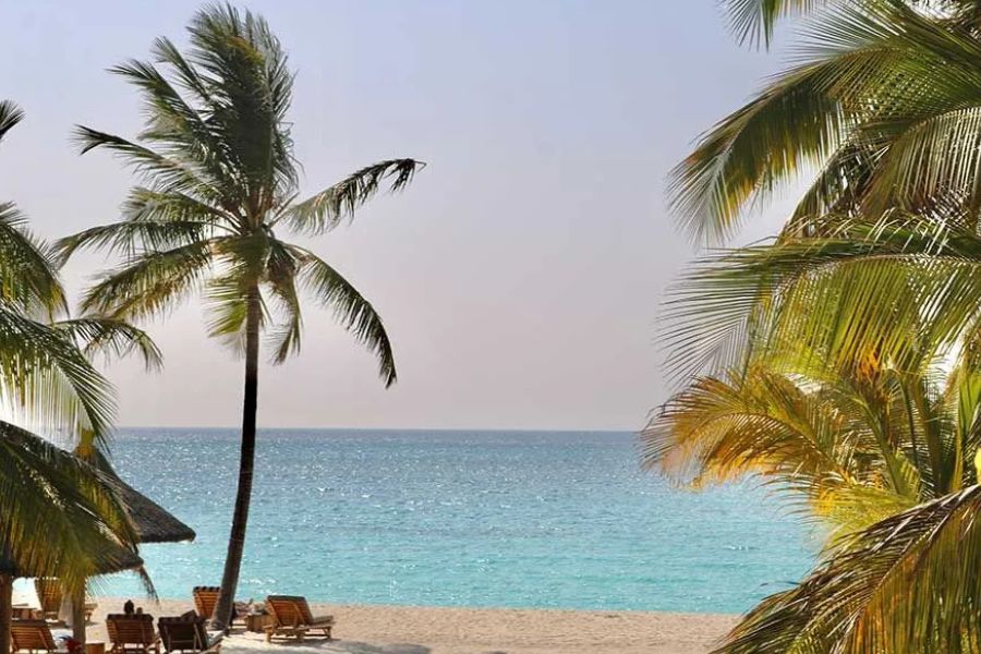 Palm-fringed Zanzibar beach with turquoise ocean views.