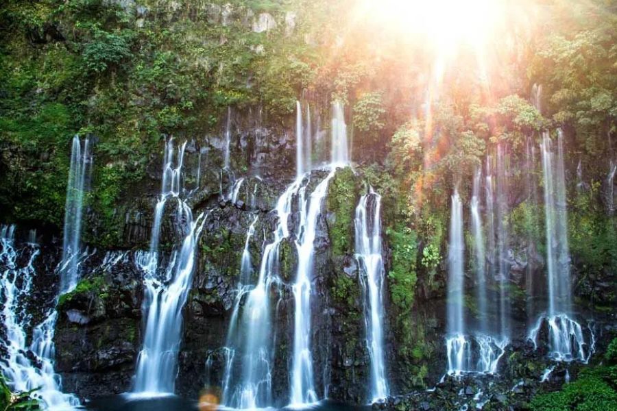Sunlit waterfalls cascading through Réunion Island’s lush tropical forest.