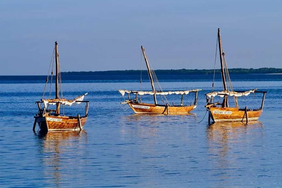 Three traditional wooden dhow boats anchored in calm blue ocean waters